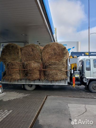 Услуги самогруза 5 тонн междуреченск