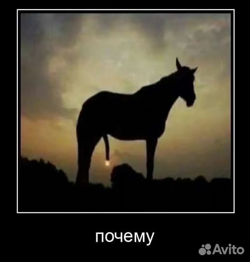 Видеокарта gigabyte gtx 970