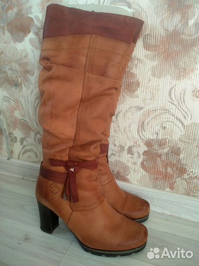 Сапоги женские демисезонные