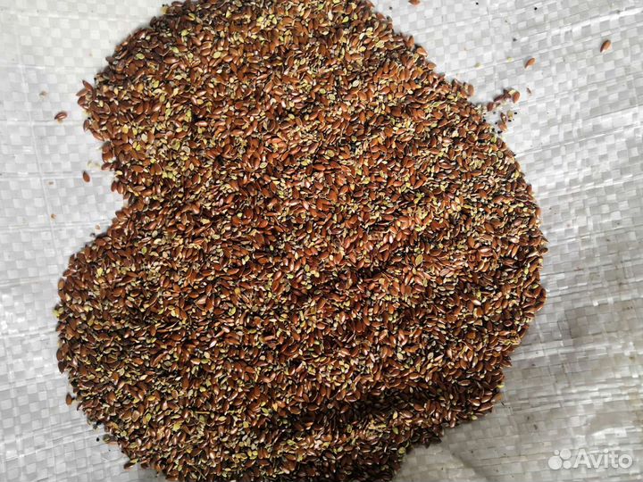 Семена льна