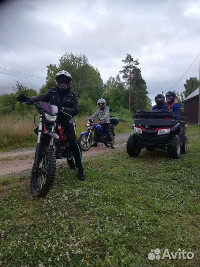 Питбайк irbis ttr 125