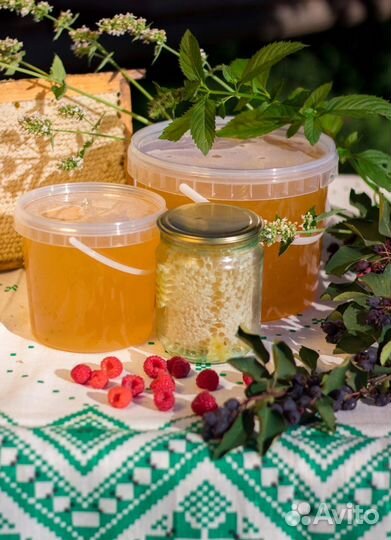 Мед 2023, 2022 высшего качества