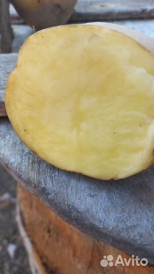 Крупный картофель