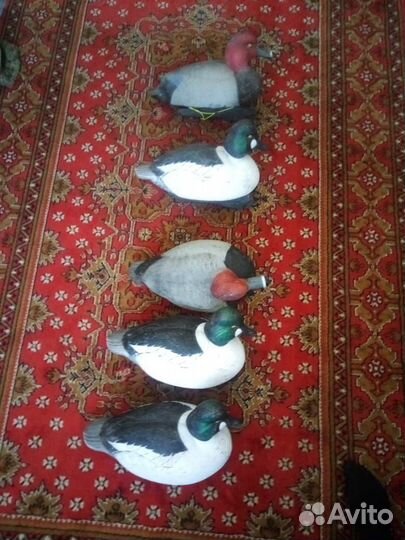 Чучела уток для охоты