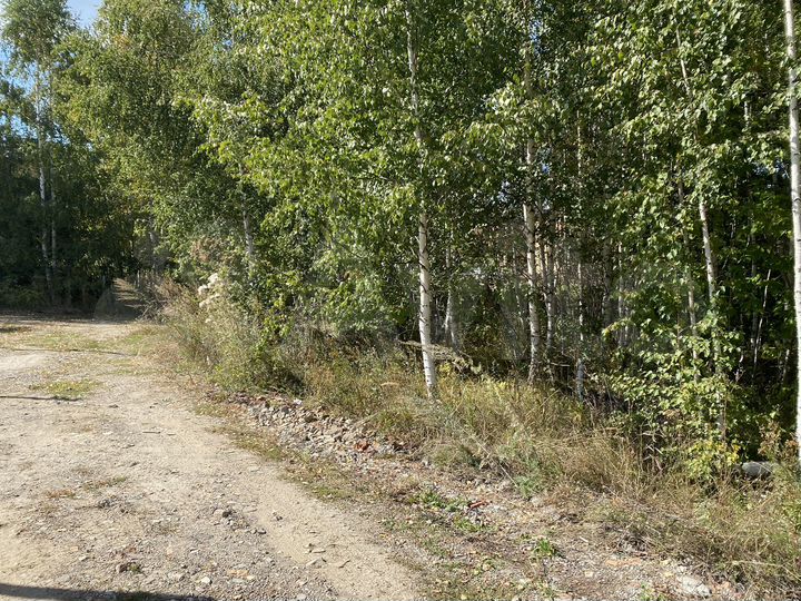 Участок 8,5 сот. (СНТ, ДНП)
