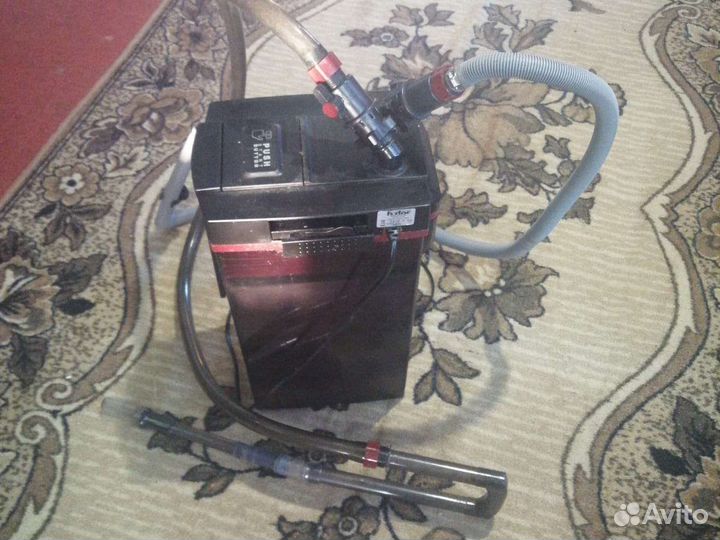 Аквариумные рыбки