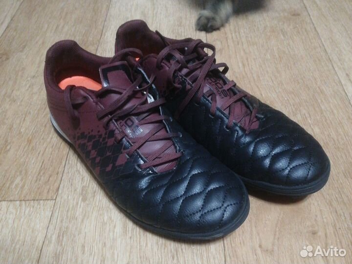 Сороконожки