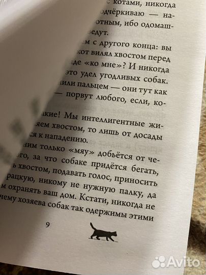 Невероятные приключения кота Сократа