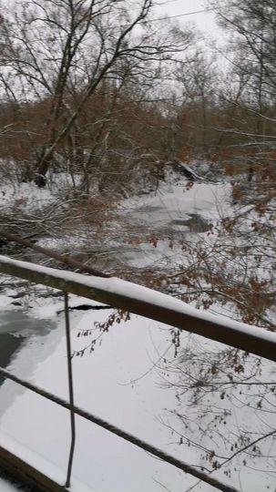 Участок 12,6 сот. (ИЖС)