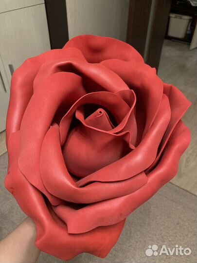 Розы гиганты