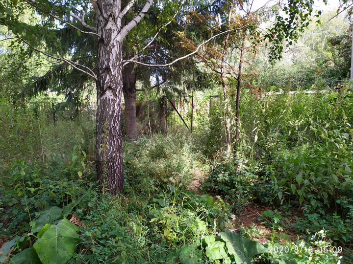 Дача 20 м² на участке 6 сот.