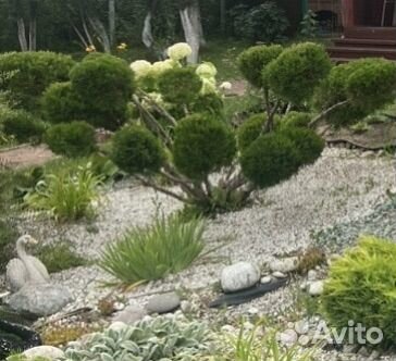 Ланшафтный дизайн