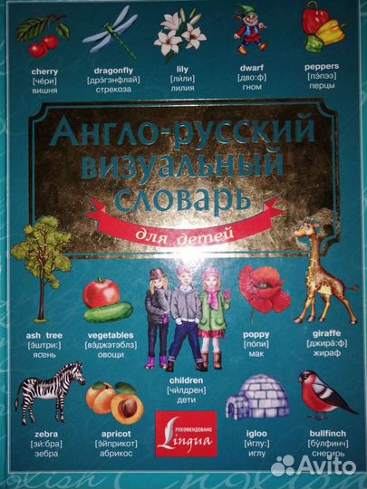 Англо-русский визуальный словарь