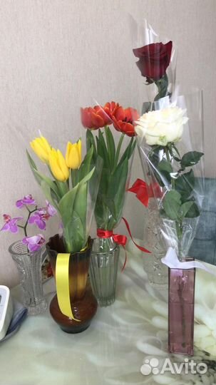 Гуси, утки мускусные, петухи разных пород