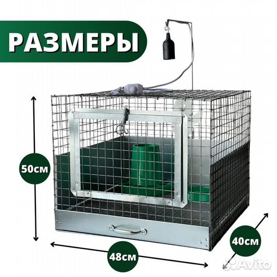 Брудер для цыплят. Эконом