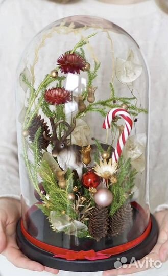 Стеклянный большой клош (колба, колпак, купол)