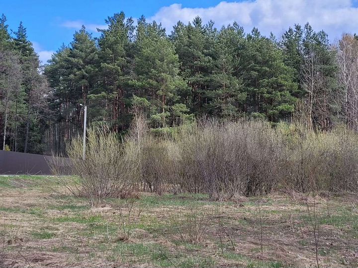 Участок 17,9 сот. (ИЖС)