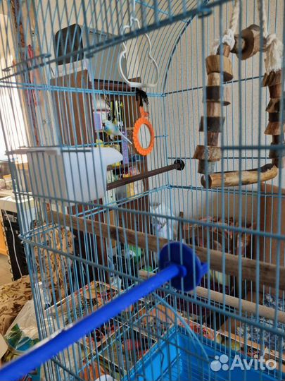 Клетка для волнистого попугая