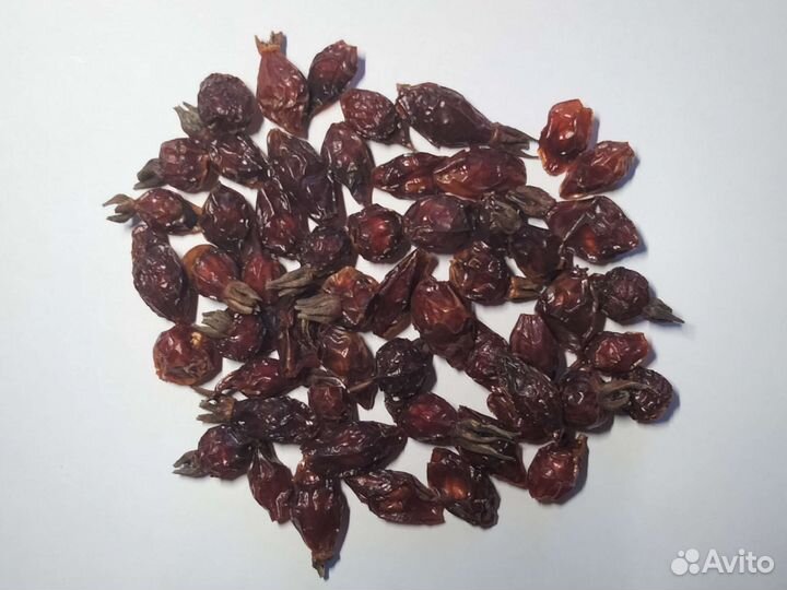 Шиповник плоды