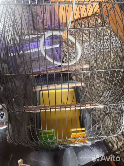 Клетки для птиц