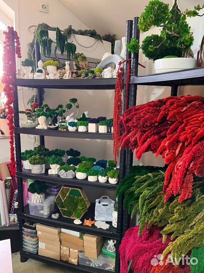 Цветы сухоцветы/стабилизированные/мох/декор