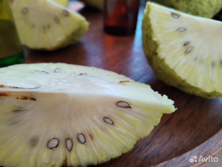 Мазь при геморрое