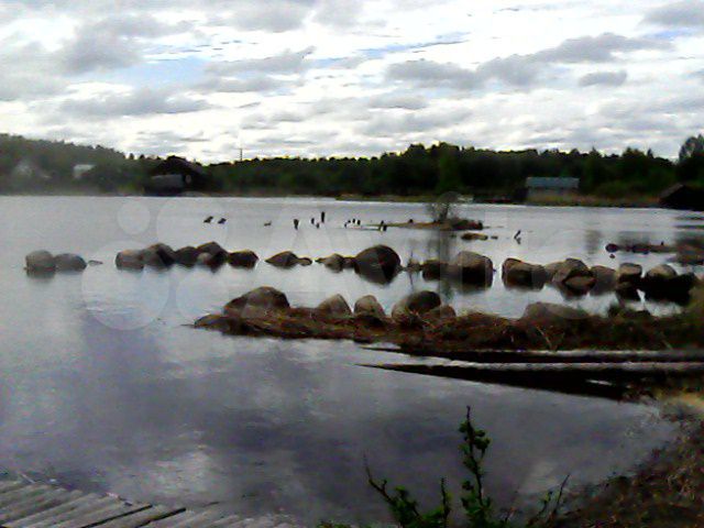 Дом 50 м² на участке 12 сот.