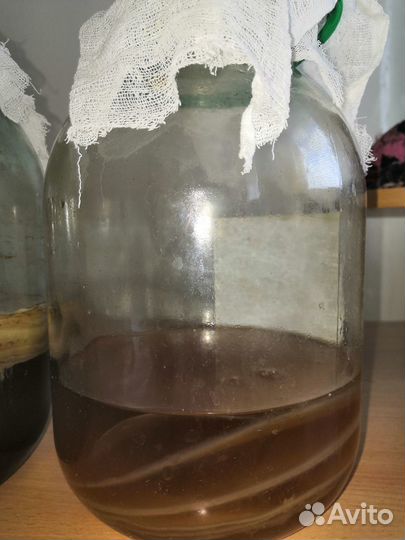 Гриб на чаи