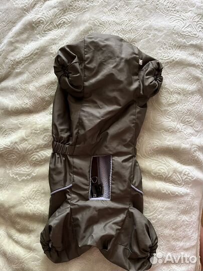 Комбинезон для таксы мальчика