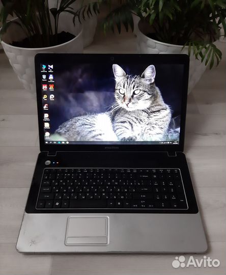 Ноутбук с большим экраном