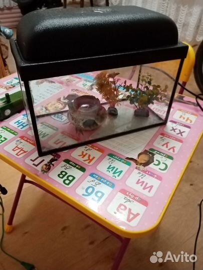 Аквариум 7 литров