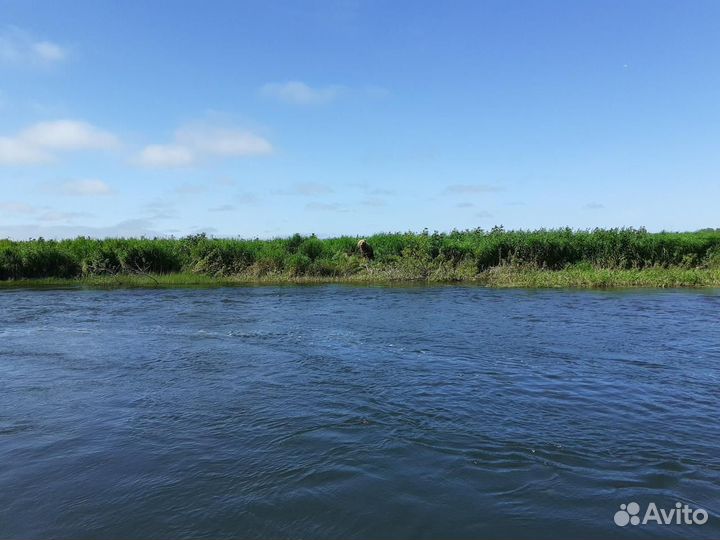 Рыбалка Камчатка