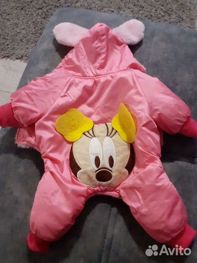 Одежда для щенка