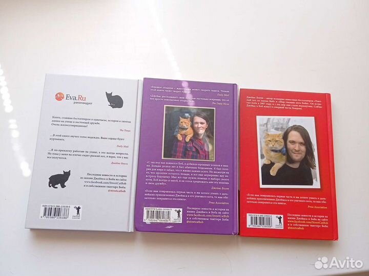 Уличный кот Боб, Джеймс Боуэн