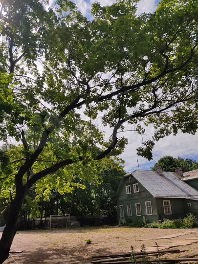 Участок 19 сот. (ИЖС)