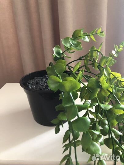 Искусственная зелень, эвкалипт «Лето»