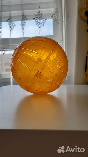 Прогулочный шар для грызунов