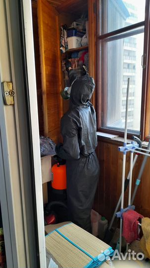 Уничтожение насекомых, запахов и грызунов