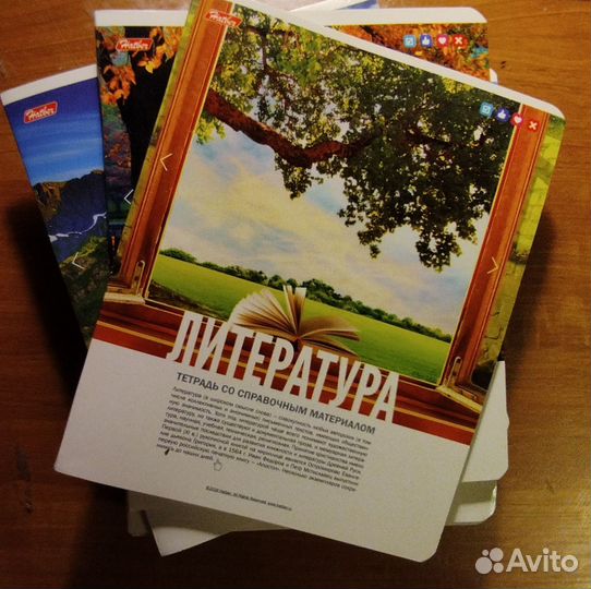 Тетради предметные школьные