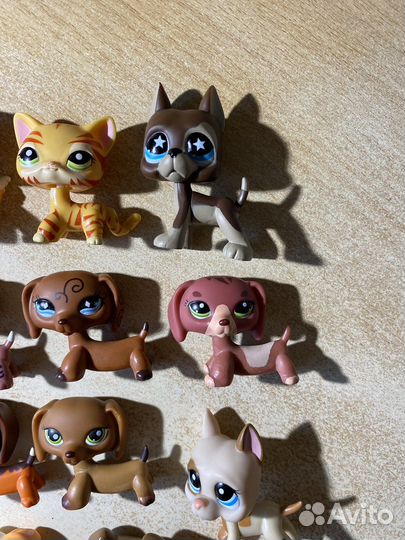 Littlest pet shop
