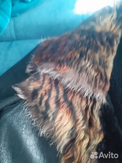 Дубленка натуральная женская р50 -52. б/у