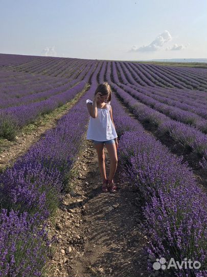 Блузки, рубашки на девочку