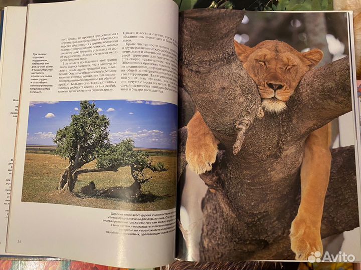 Энциклопедии диклй природы