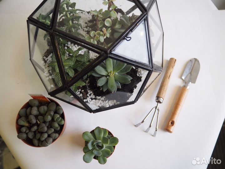 Формы для флорариума