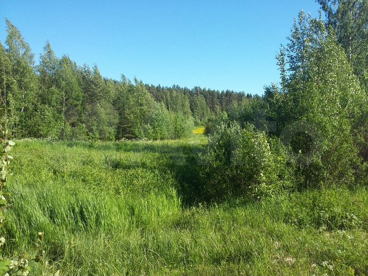 выборгский район г. земельный участок приморск. город приморск улица ольховая участок 11. земельный участок приморск. снт трибуна.