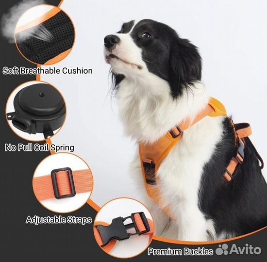 Шлейка для собак с встроенным поводком