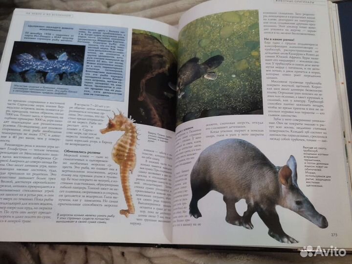 Книга энциклопедия