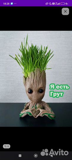 Кашпо