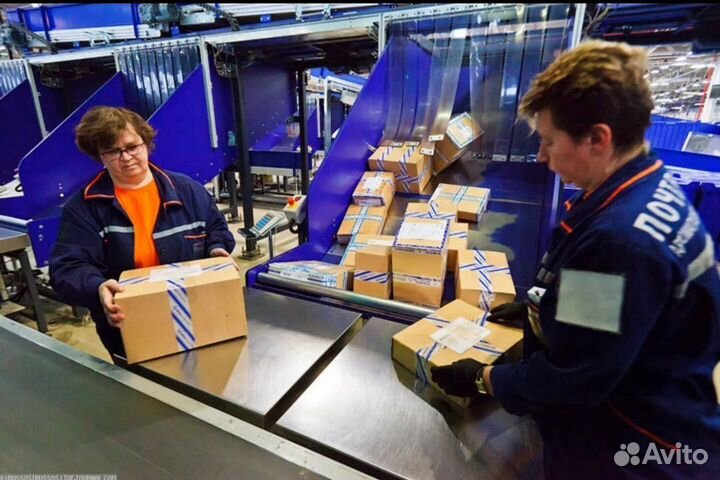Сортировщица. Ежедневная оплата