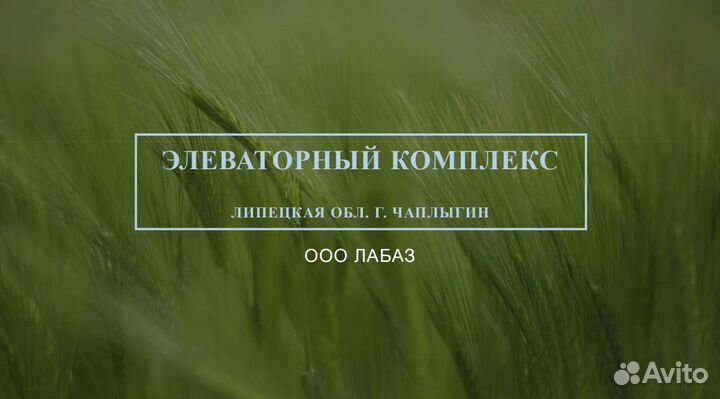 Заведующий лабораторией на элеватор
